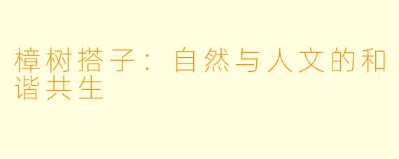 樟树搭子:自然与人文的和谐共生