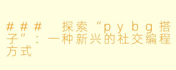 ### 探索“pybg搭子”：一种新兴的社交编程方式