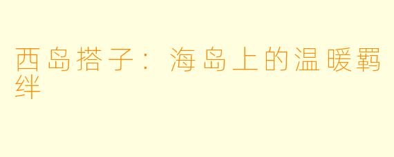 西岛搭子:海岛上的温暖羁绊