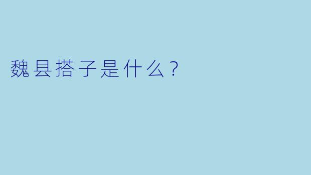 魏县搭子是什么？  