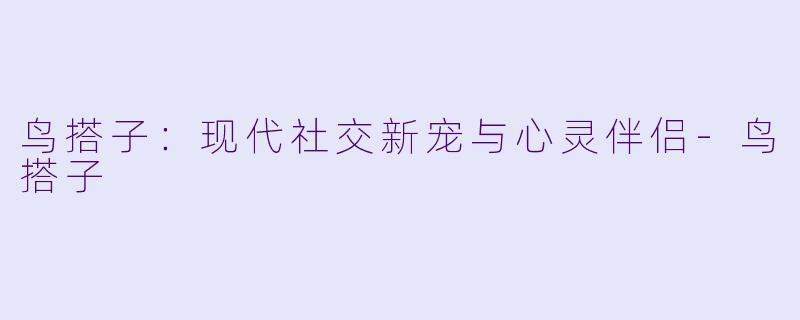 鸟搭子：现代社交新宠与心灵伴侣-鸟搭子