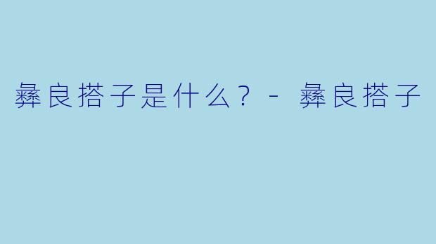 彝良搭子是什么？