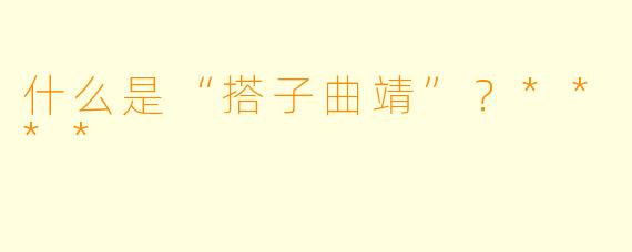 什么是“搭子曲靖”?****
