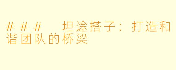 ### 坦途搭子：打造和谐团队的桥梁