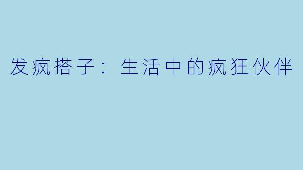 发疯搭子：生活中的疯狂伙伴