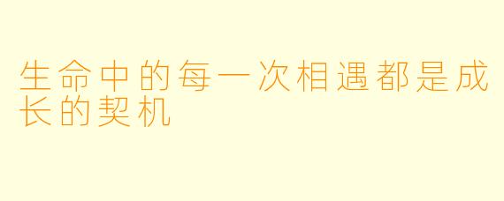 生命中的每一次相遇都是成长的契机