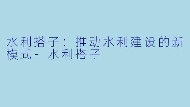 水利搭子：推动水利建设的新模式-水利搭子