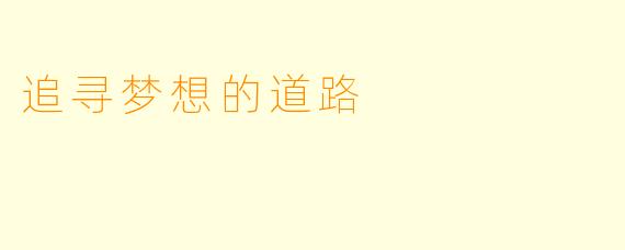 追寻梦想的道路