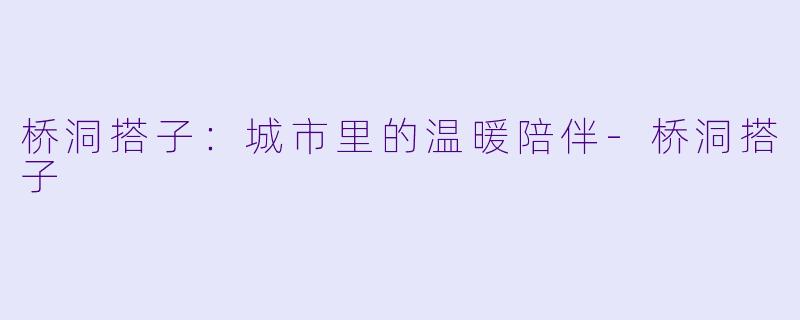 桥洞搭子：城市里的温暖陪伴-桥洞搭子