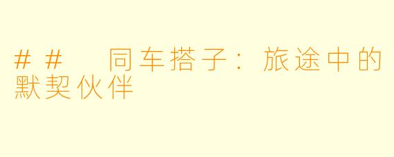 ## 同车搭子:旅途中的默契伙伴