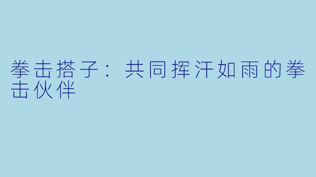 拳击搭子：共同挥汗如雨的拳击伙伴