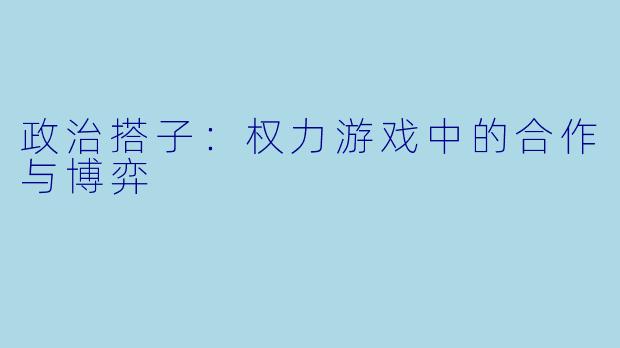 政治搭子：权力游戏中的合作与博弈