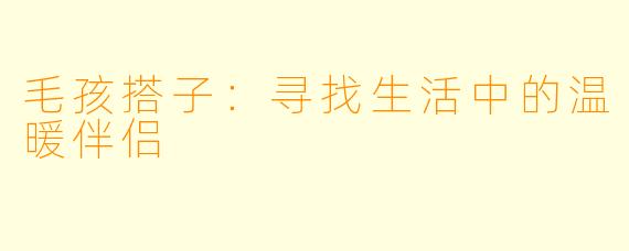 毛孩搭子:寻找生活中的温暖伴侣