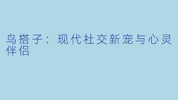 鸟搭子:现代社交新宠与心灵伴侣