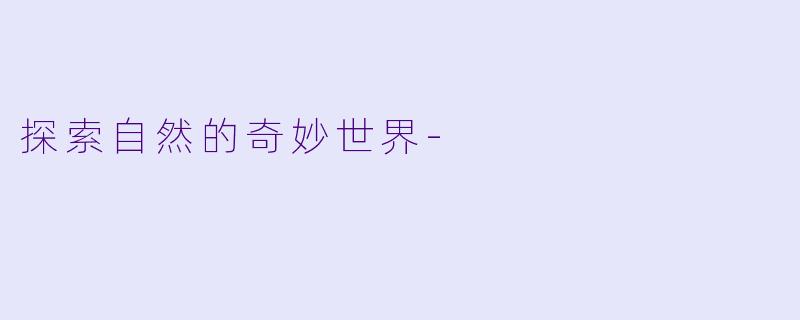 探索自然的奇妙世界