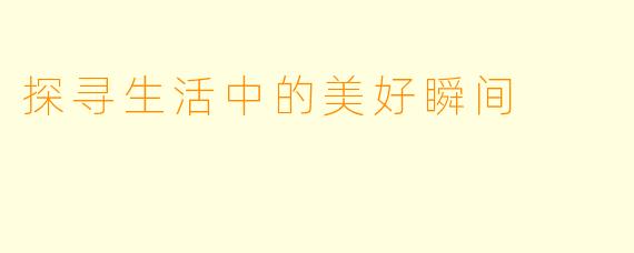 探寻生活中的美好瞬间