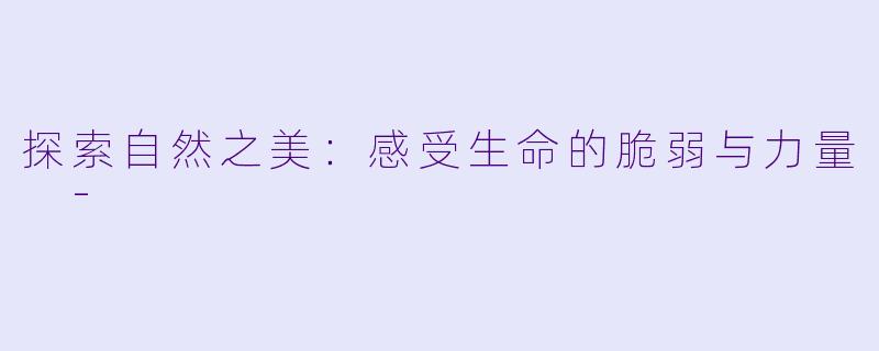 探索自然之美：感受生命的脆弱与力量 -