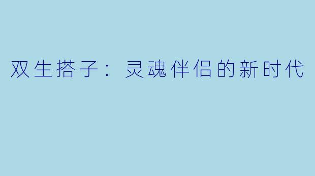 双生搭子：灵魂伴侣的新时代