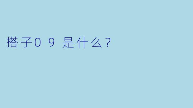 搭子09是什么？