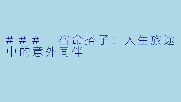 ### 宿命搭子：人生旅途中的意外同伴