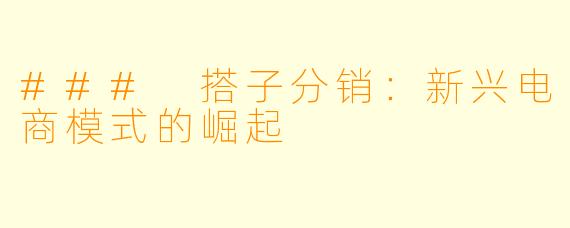 ### 搭子分销：新兴电商模式的崛起