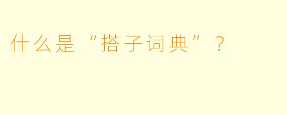 什么是“搭子词典”？  