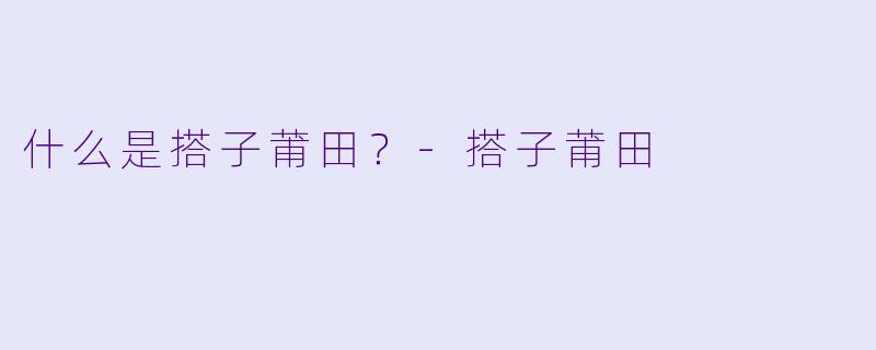 什么是搭子莆田?