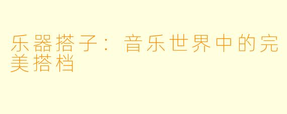 乐器搭子：音乐世界中的完美搭档