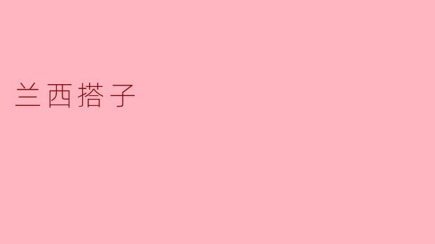 兰西搭子是什么？