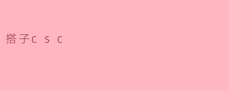 搭子csc