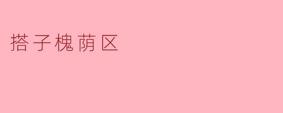 搭子槐荫区