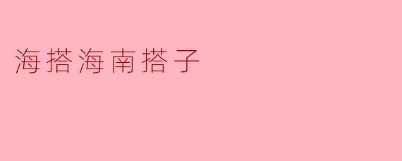 海搭海南搭子
