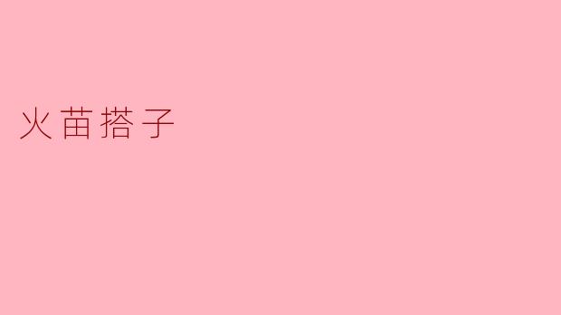 火苗搭子是什么？****