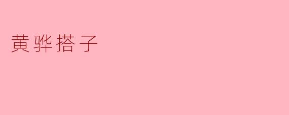 黄骅搭子是什么?其功能和特点有哪些?