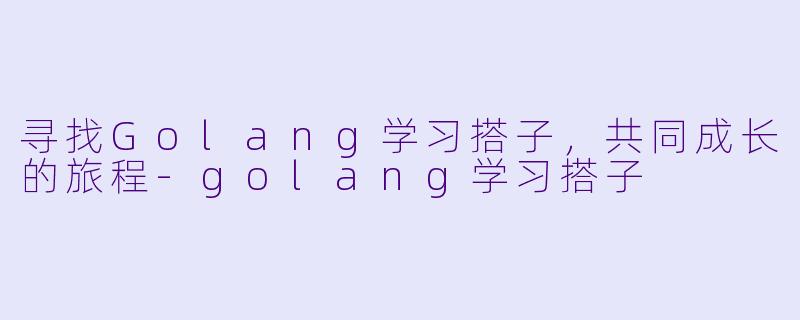 寻找Golang学习搭子，共同成长的旅程-golang学习搭子