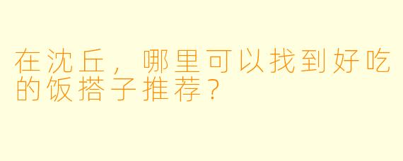 在沈丘，哪里可以找到好吃的饭搭子推荐？