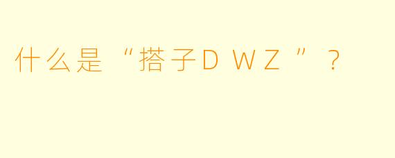 什么是“搭子DWZ”？  