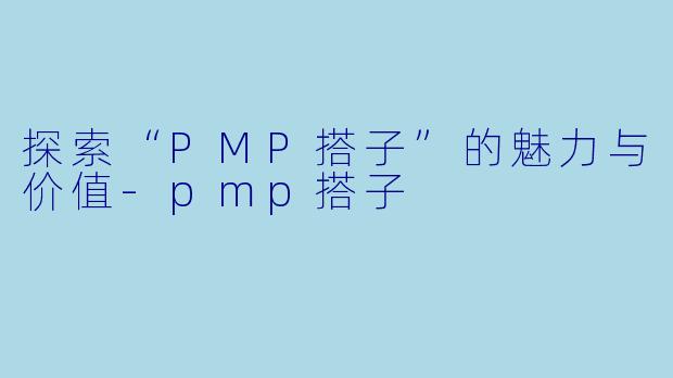 探索“PMP搭子”的魅力与价值-pmp搭子
