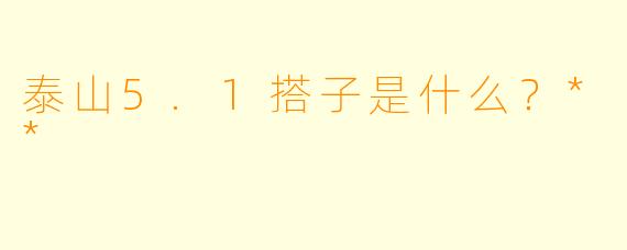 泰山5.1搭子是什么？**