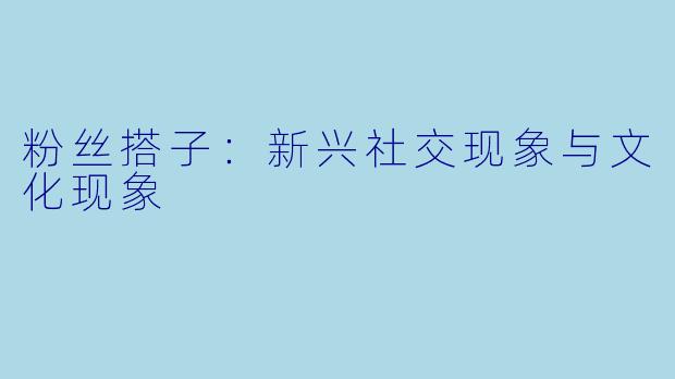粉丝搭子:新兴社交现象与文化现象