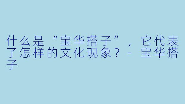 什么是“宝华搭子”，它代表了怎样的文化现象？