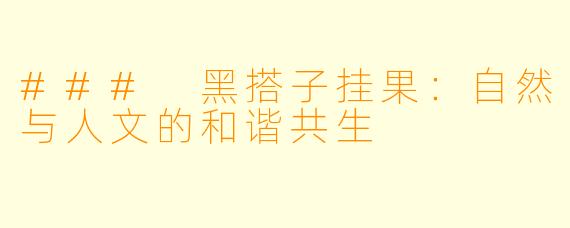### 黑搭子挂果：自然与人文的和谐共生