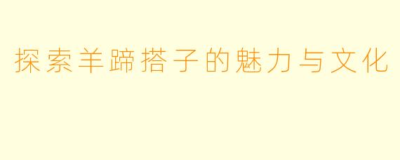 探索羊蹄搭子的魅力与文化