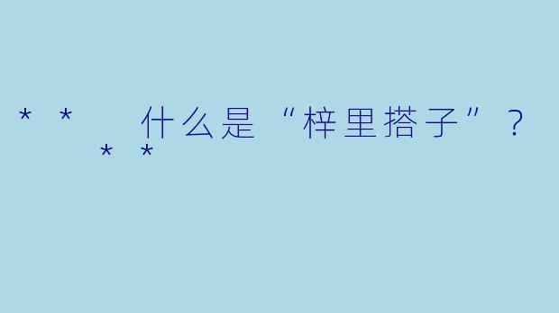 ** 什么是“梓里搭子”？  **
