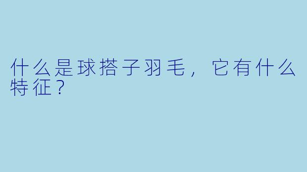 什么是球搭子羽毛,它有什么特征?