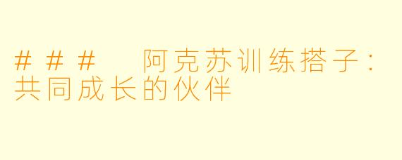 ### 阿克苏训练搭子：共同成长的伙伴