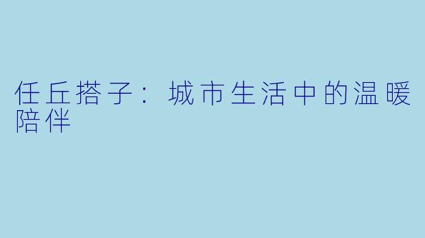 任丘搭子：城市生活中的温暖陪伴