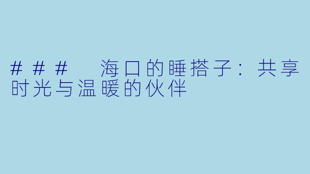 ### 海口的睡搭子：共享时光与温暖的伙伴