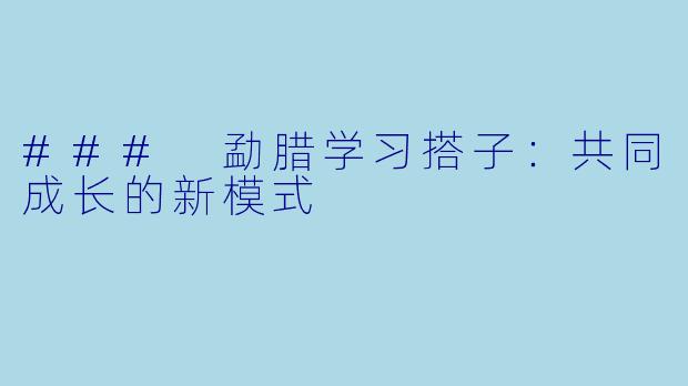 ### 勐腊学习搭子：共同成长的新模式