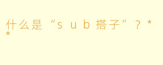 什么是“sub搭子”？**